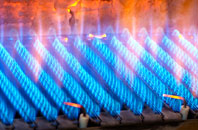 Singret gas fired boilers
